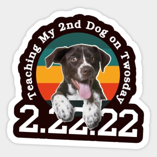 Teaching my dog on twosday / 22222 / pet lover gift idea Sticker